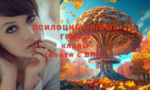 синтетический гашиш Богданович