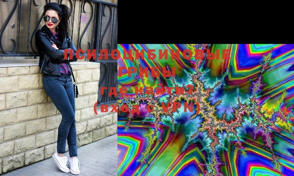 spice Бородино