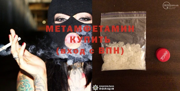 гидра Богородицк