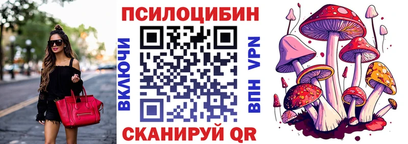 купить   Чудово  Галлюциногенные грибы GOLDEN TEACHER 