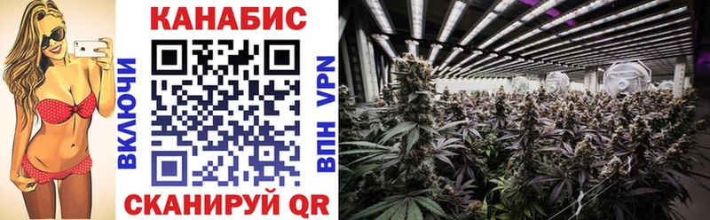 Марихуана OG Kush Чудово